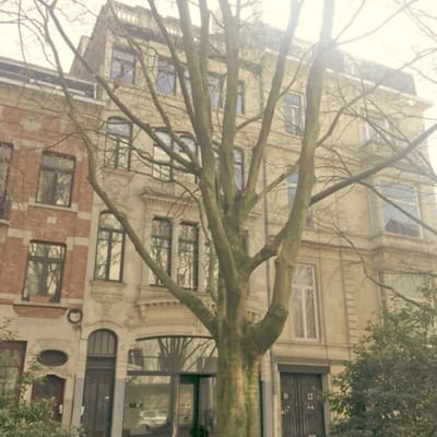 Architecte Bruxelles AVENUE DE LA CHEVALERIE 1, 1040 Etterbeek
