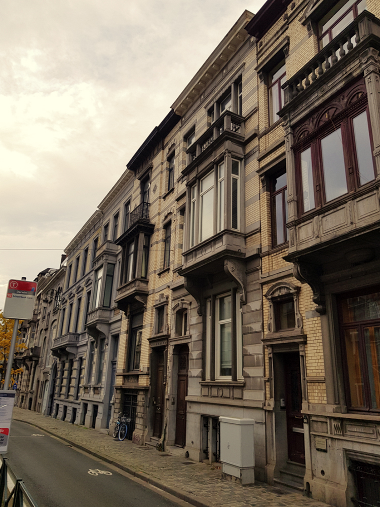 AVENUE BRUGMANN 86, 1190 Forest — photo 3