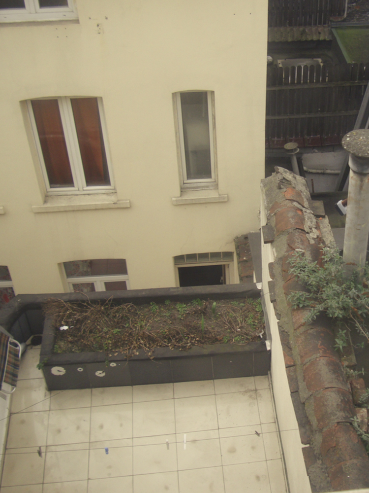 RUE CAMUSEL 3 , 1000 Ville de Bruxelles — photo 4