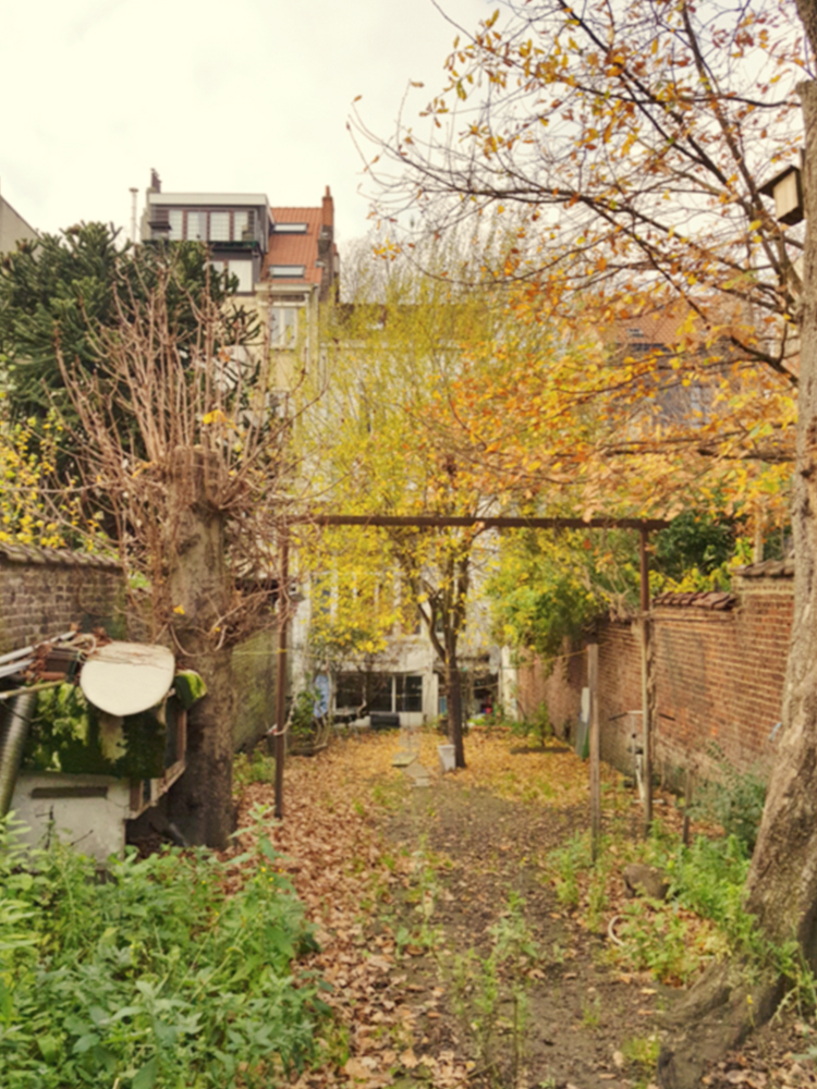 AVENUE VAN VOLXEM 117, 1190 Forest — photo 4