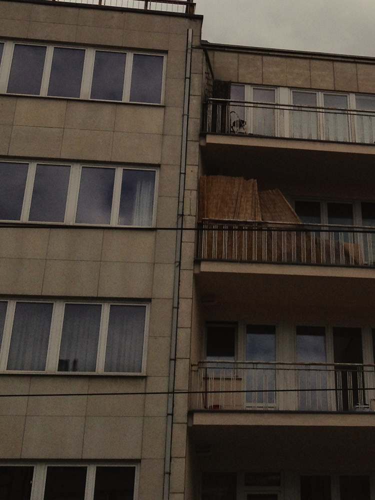 Avenue Brugmann 198 , 1050 Ixelles — photo 6