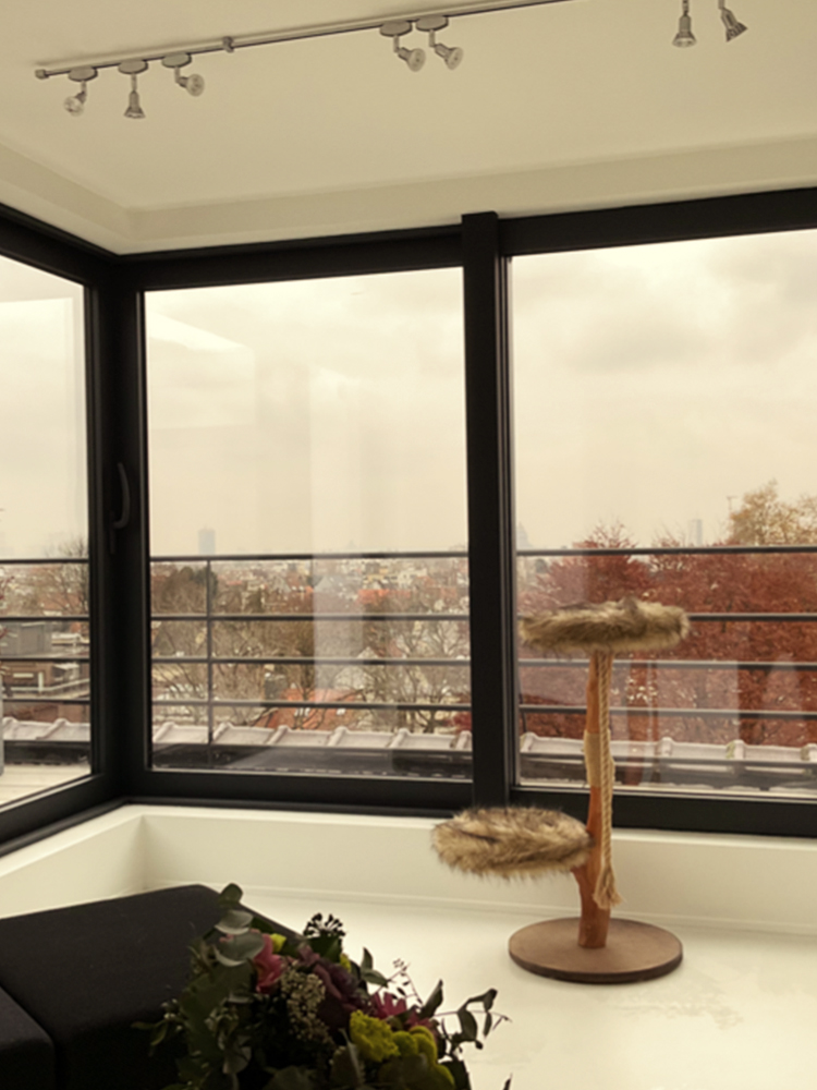 AVENUE WINSTON CHURCHILL 248, 1180 Uccle — photo 5