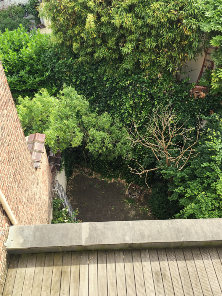 Avenue d’Uccle 56, 1190 Forest — photo 6