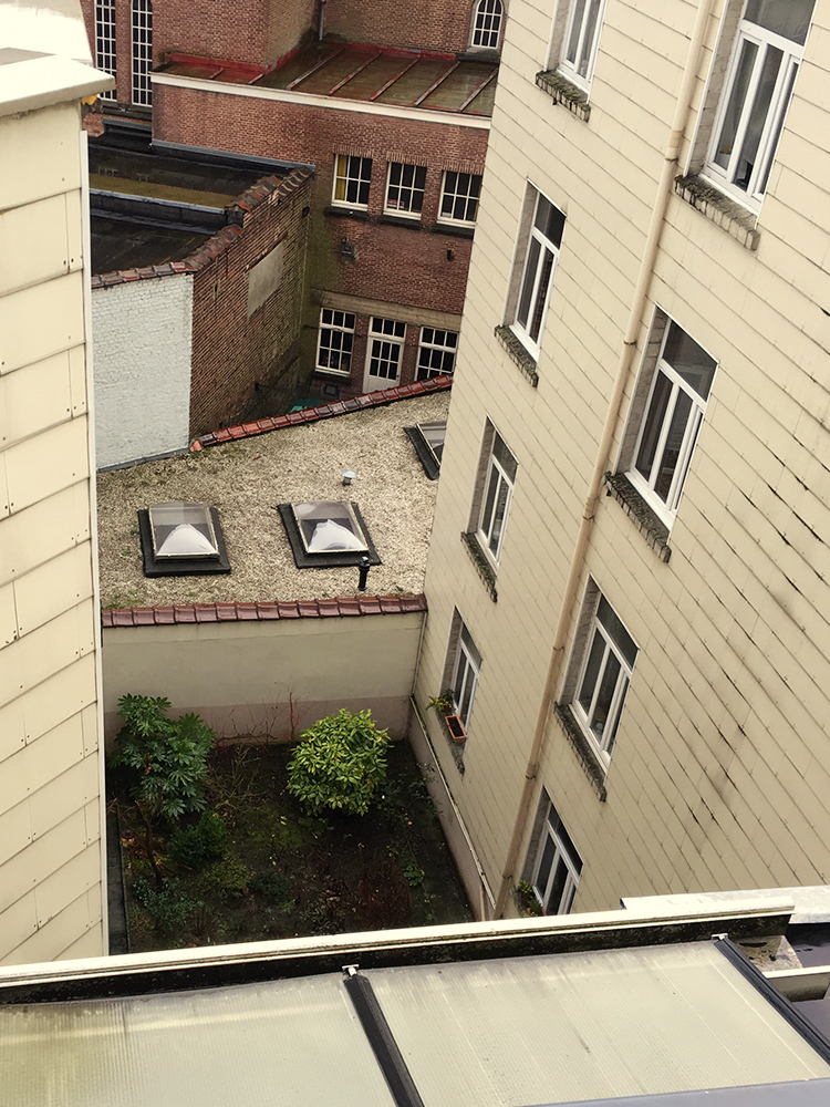 Rue du Charme 26, 1190 Forest — photo 8