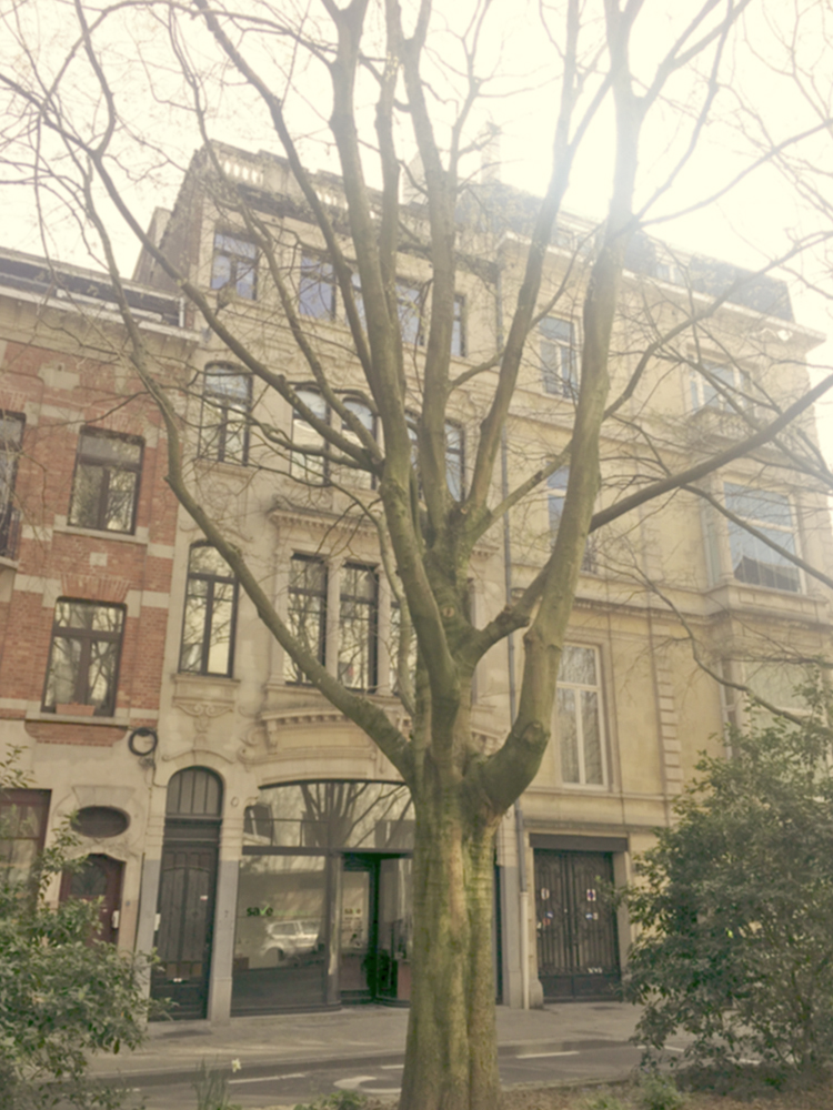 AVENUE DE LA CHEVALERIE 1, 1040 Etterbeek — photo 3